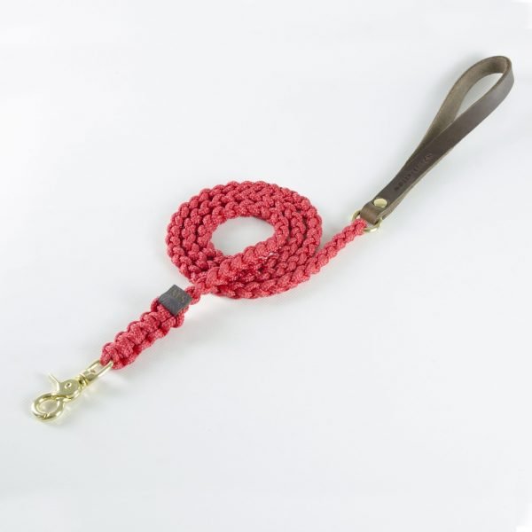 Tauleine Rot von Molly and Stitch. Tau Hunde-Leine Touch of Leather Redwine Rot mit goldenem Verschluss