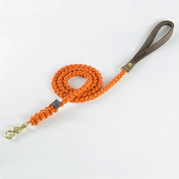 Tauleine Orange. Molly and Stitch Tau Hunde-Leine Touch of Leather Pumpkin Orange mit goldenem Verschluss