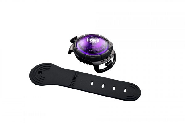 Orbiloc Dog Dual LED Hundelicht Lila mit Quick Mount und Adjustable Strap Transparent