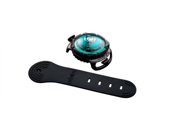 Orbiloc Dog Dual LED Hundelicht TÜRKIS mit Quick Mount und Adjustable Strap