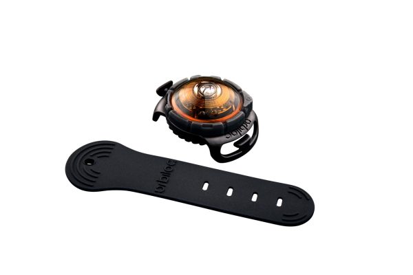Orbiloc Hundelicht Amber Sicherheitslicht Dog Dual