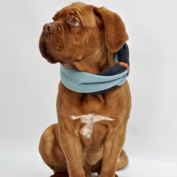 Hundeloop SIMO Hunde Schal zweifarbig Türkis + Iron von Labbvenn