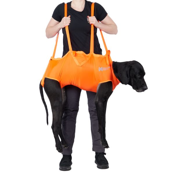 Hunde Tragehilfe von Non-stop dogwear. Notfall Tragehilfe für große Hunde